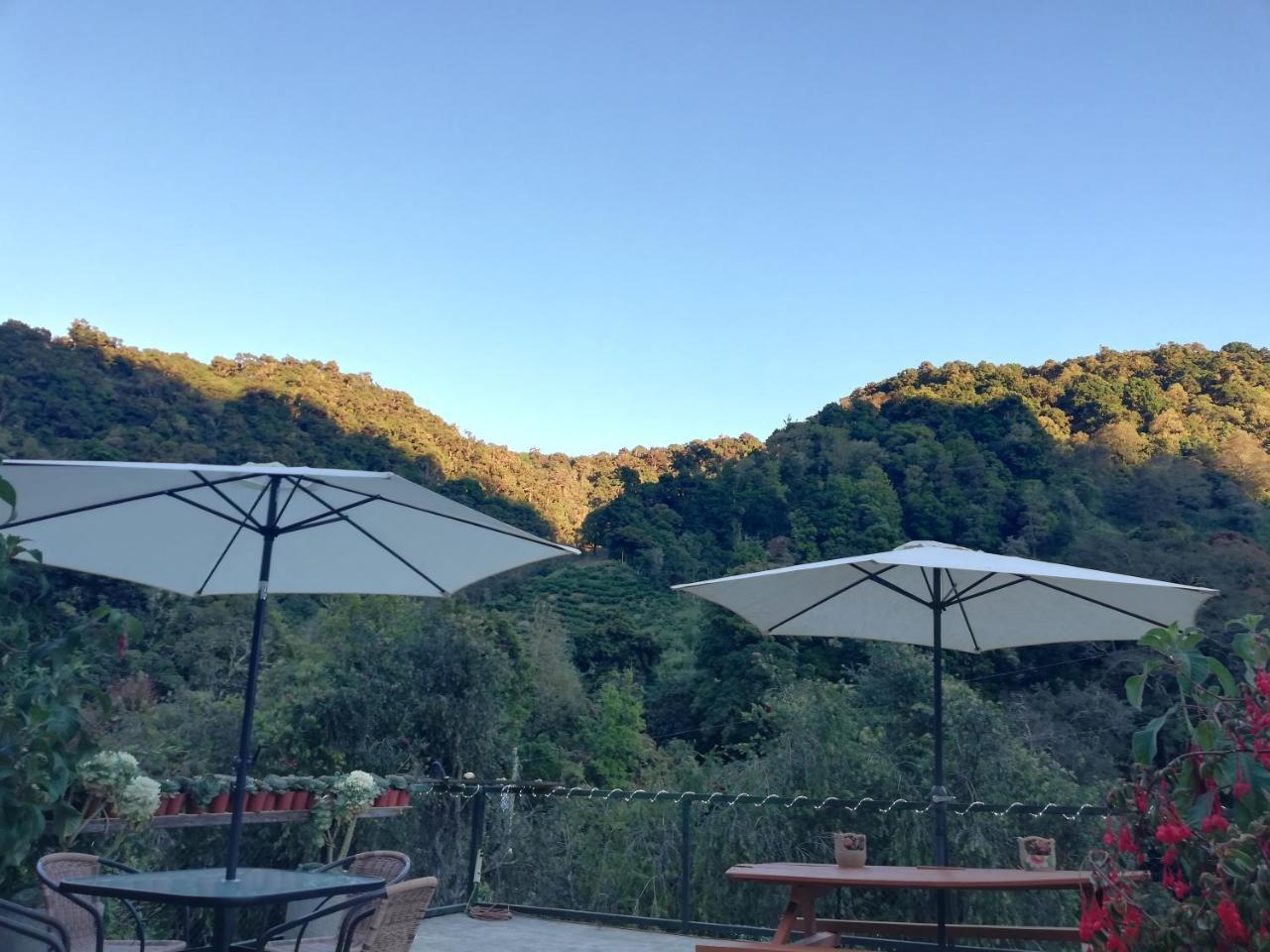 Los Lagos Lodge Сан Херардо де Дота Екстериор снимка